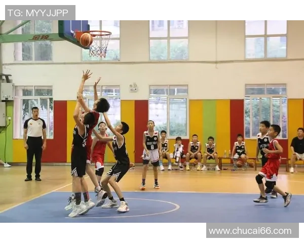 重庆篮球队的速度革命探讨与未来发展展望