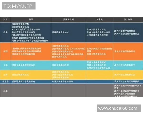张娜独家分享排球心得与技巧助你提升竞技水平与团队配合能力